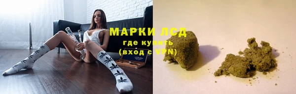 гашик Арсеньев