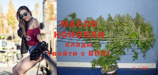 гашик Арсеньев