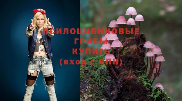 меф Армянск