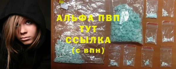 гашик Арсеньев